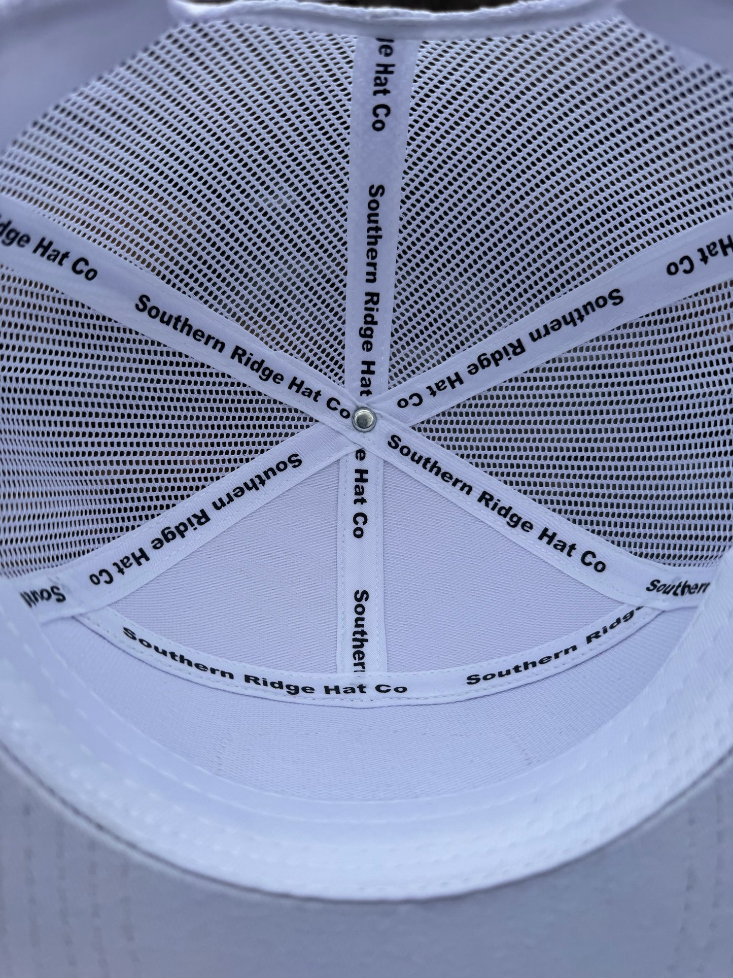 Southern Ridge Longhorn